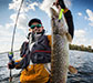 footer-gallery